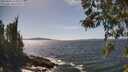 ./images/koeye/fitz-hugh/20260424/fitz-hugh20260424_145001M.jpg