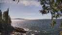 ./images/koeye/fitz-hugh/20260424/fitz-hugh20260424_145501M.jpg