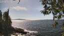 ./images/koeye/fitz-hugh/20260424/fitz-hugh20260424_150501M.jpg