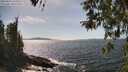 ./images/koeye/fitz-hugh/20260424/fitz-hugh20260424_151002M.jpg
