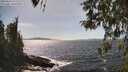 ./images/koeye/fitz-hugh/20260424/fitz-hugh20260424_152002M.jpg