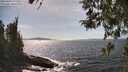 ./images/koeye/fitz-hugh/20260424/fitz-hugh20260424_152501M.jpg