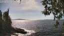 ./images/koeye/fitz-hugh/20260424/fitz-hugh20260424_153502M.jpg