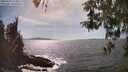 ./images/koeye/fitz-hugh/20260424/fitz-hugh20260424_155001M.jpg