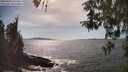 ./images/koeye/fitz-hugh/20260424/fitz-hugh20260424_155501M.jpg