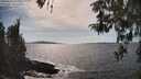 ./images/koeye/fitz-hugh/20260424/fitz-hugh20260424_160001M.jpg