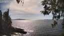 ./images/koeye/fitz-hugh/20260424/fitz-hugh20260424_160502M.jpg