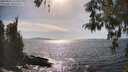 ./images/koeye/fitz-hugh/20260424/fitz-hugh20260424_163501M.jpg
