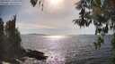 ./images/koeye/fitz-hugh/20260424/fitz-hugh20260424_164501M.jpg