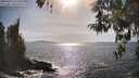 ./images/koeye/fitz-hugh/20260424/fitz-hugh20260424_165502M.jpg