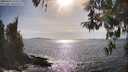 ./images/koeye/fitz-hugh/20260424/fitz-hugh20260424_170001M.jpg