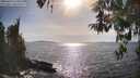 ./images/koeye/fitz-hugh/20260424/fitz-hugh20260424_170501M.jpg