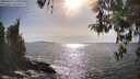 ./images/koeye/fitz-hugh/20260424/fitz-hugh20260424_171001M.jpg