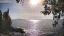 ./images/koeye/fitz-hugh/20260424/fitz-hugh20260424_171501M.jpg