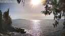 ./images/koeye/fitz-hugh/20260424/fitz-hugh20260424_172001M.jpg