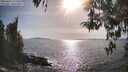 ./images/koeye/fitz-hugh/20260424/fitz-hugh20260424_172501M.jpg