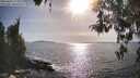 ./images/koeye/fitz-hugh/20260424/fitz-hugh20260424_173001M.jpg