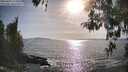 ./images/koeye/fitz-hugh/20260424/fitz-hugh20260424_174001M.jpg