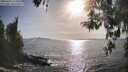 ./images/koeye/fitz-hugh/20260424/fitz-hugh20260424_174501M.jpg