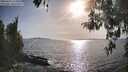 ./images/koeye/fitz-hugh/20260424/fitz-hugh20260424_175001M.jpg