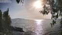 ./images/koeye/fitz-hugh/20260424/fitz-hugh20260424_175501M.jpg