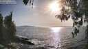 ./images/koeye/fitz-hugh/20260424/fitz-hugh20260424_180001M.jpg