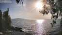 ./images/koeye/fitz-hugh/20260424/fitz-hugh20260424_180501M.jpg