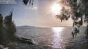 ./images/koeye/fitz-hugh/20260424/fitz-hugh20260424_181002M.jpg