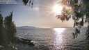 ./images/koeye/fitz-hugh/20260424/fitz-hugh20260424_181501M.jpg
