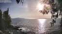 ./images/koeye/fitz-hugh/20260424/fitz-hugh20260424_182002M.jpg