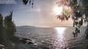 ./images/koeye/fitz-hugh/20260424/fitz-hugh20260424_182501M.jpg