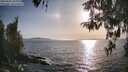 ./images/koeye/fitz-hugh/20260424/fitz-hugh20260424_183002M.jpg