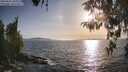 ./images/koeye/fitz-hugh/20260424/fitz-hugh20260424_184001M.jpg