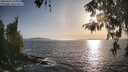 ./images/koeye/fitz-hugh/20260424/fitz-hugh20260424_185001M.jpg