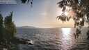 ./images/koeye/fitz-hugh/20260424/fitz-hugh20260424_185501M.jpg