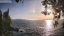 ./images/koeye/fitz-hugh/20260424/fitz-hugh20260424_190501M.jpg