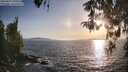 ./images/koeye/fitz-hugh/20260424/fitz-hugh20260424_191001M.jpg
