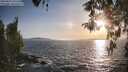 ./images/koeye/fitz-hugh/20260424/fitz-hugh20260424_191501M.jpg