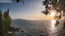 ./images/koeye/fitz-hugh/20260424/fitz-hugh20260424_193501M.jpg