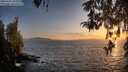 ./images/koeye/fitz-hugh/20260424/fitz-hugh20260424_202002M.jpg