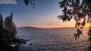 ./images/koeye/fitz-hugh/20260424/fitz-hugh20260424_204002M.jpg