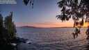 ./images/koeye/fitz-hugh/20260424/fitz-hugh20260424_205001M.jpg