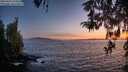 ./images/koeye/fitz-hugh/20260424/fitz-hugh20260424_210501M.jpg