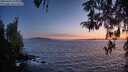 ./images/koeye/fitz-hugh/20260424/fitz-hugh20260424_211001M.jpg