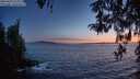 ./images/koeye/fitz-hugh/20260424/fitz-hugh20260424_212002M.jpg