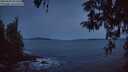 ./images/koeye/fitz-hugh/20260425/fitz-hugh20260425_053502M.jpg