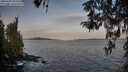 ./images/koeye/fitz-hugh/20260425/fitz-hugh20260425_063501M.jpg