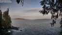 ./images/koeye/fitz-hugh/20260425/fitz-hugh20260425_064002M.jpg