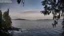 ./images/koeye/fitz-hugh/20260425/fitz-hugh20260425_064501M.jpg