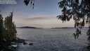 ./images/koeye/fitz-hugh/20260425/fitz-hugh20260425_065001M.jpg